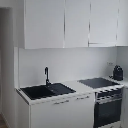 City Center Apartment Alytus Exterior photo